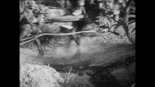 Link to Video | Paul Karl Lieberenz