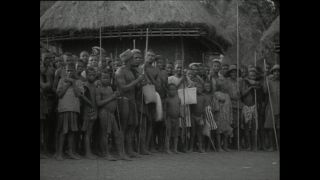 Link to Video | Paul Karl Lieberenz, Kamerun