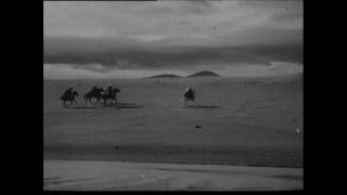 Link to Video | Paul Karl Lieberenz