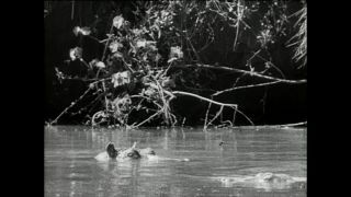 Link zum Video | Paul Lieberenz