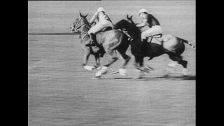 Link to Video | Paul Karl Lieberenz, sport