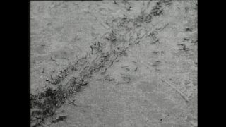 Link to Video | Paul Karl Lieberenz