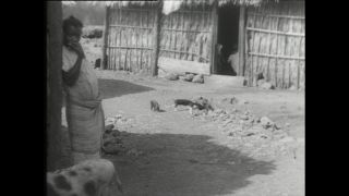 Link zum Video | Paul Lieberenz