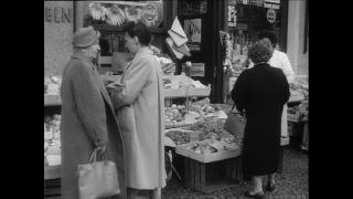 Link to Video | Baumwollspinnerei, wool, Paul Karl Lieberenz, Kulmbach, Germany, silk mill, angora wool, Angora rabbit, yarn industry, textile industry, 20th century, factory