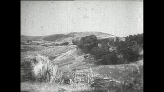 Link to Video | Paul Karl Lieberenz, Kamerun