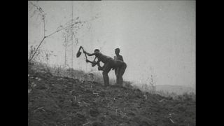 Link to Video | Paul Karl Lieberenz, Kamerun