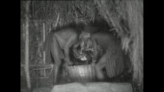 Link to Video | Paul Karl Lieberenz, Kamerun