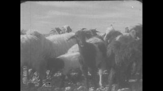 Link zum Video | Paul Lieberenz