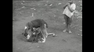 Link zum Video | Paul Lieberenz