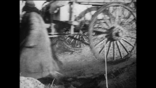 Link zum Video | Paul Lieberenz