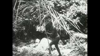 Link zum Video | Paul Lieberenz, Kamerun