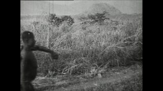 Link zum Video | Paul Lieberenz, Kamerun