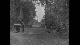 Link to Video | Paul Karl Lieberenz