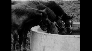 Link zum Video | Paul Lieberenz