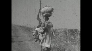 Link zum Video | Paul Lieberenz, Kamerun