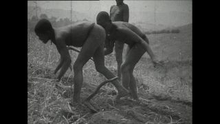 Link to Video | Paul Karl Lieberenz, Kamerun