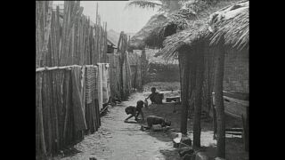 Link to Video | Paul Karl Lieberenz