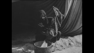 Link to Video | Paul Karl Lieberenz