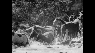 Link zum Video | Paul Lieberenz