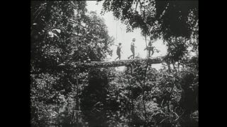 Link to Video | Paul Karl Lieberenz