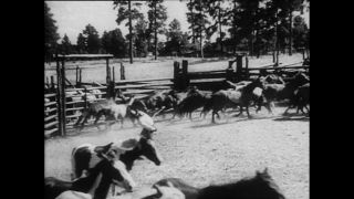 Link to Video | Paul Karl Lieberenz