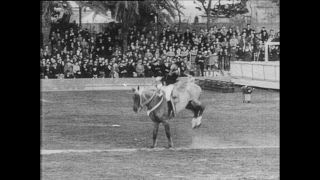 Link to Video | Paul Karl Lieberenz