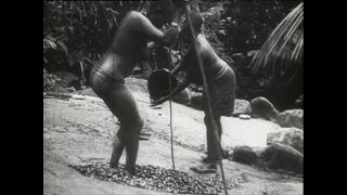 Link to Video | Paul Karl Lieberenz, Kamerun