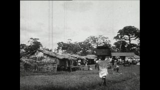 Link to Video | Paul Karl Lieberenz, Kamerun