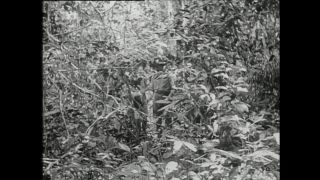 Link zum Video | Paul Lieberenz