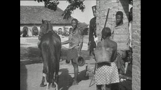 Link zum Video | Paul Lieberenz, Kamerun