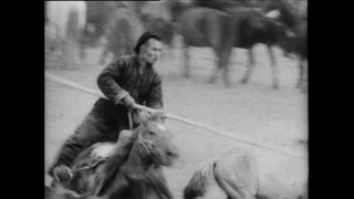 Link to Video | Paul Karl Lieberenz