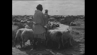 Link to Video | Paul Karl Lieberenz