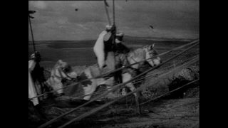 Link zum Video | Paul Lieberenz