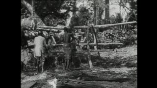 Link to Video | Paul Karl Lieberenz