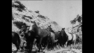 Link zum Video | Paul Lieberenz