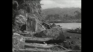 Link to Video | Paul Karl Lieberenz