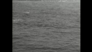 Link zum Video | Paul Lieberenz