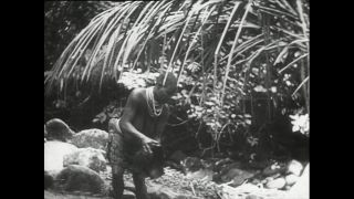 Link zum Video | Paul Lieberenz, Kamerun