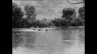 Link zum Video | Paul Lieberenz