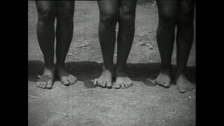 Link zum Video | Paul Lieberenz, Kamerun