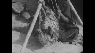 Link to Video | Paul Karl Lieberenz