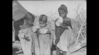 Link to Video | Paul Karl Lieberenz