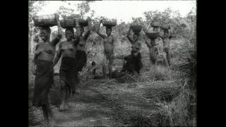 Link to Video | Paul Karl Lieberenz