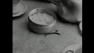 Link to Video | Paul Karl Lieberenz