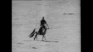 Link to Video | Paul Karl Lieberenz