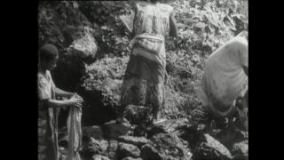 Link to Video | Paul Karl Lieberenz