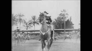 Link zum Video | Paul Lieberenz