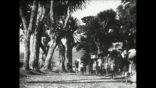 Link to Video | Paul Karl Lieberenz, Kamerun