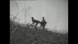 Link zum Video | Paul Lieberenz, Kamerun