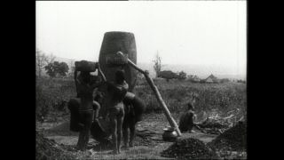 Link to Video | Paul Karl Lieberenz